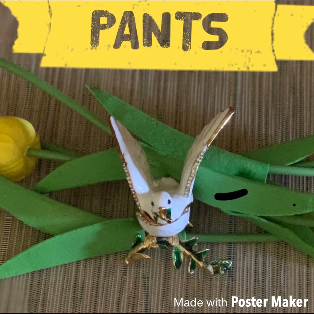 Pants
